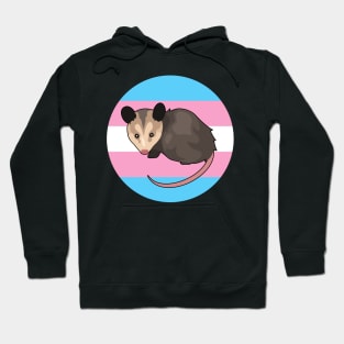 Pride Possum (Transgender) Hoodie